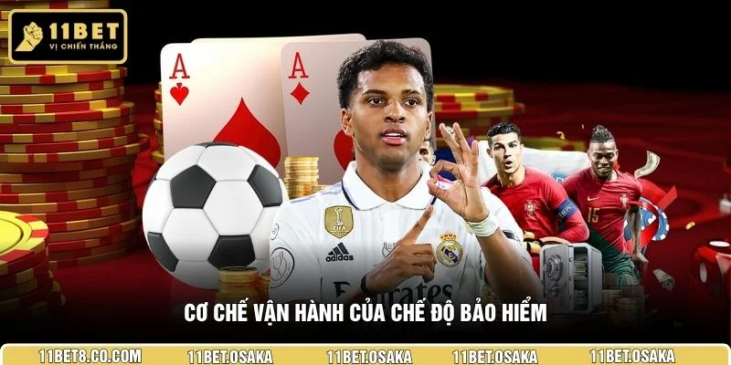 Cơ chế vận hành của chế độ bảo hiểm