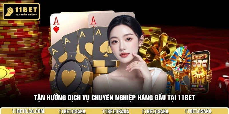Tận hưởng dịch vụ chuyên nghiệp hàng đầu tại 11BET